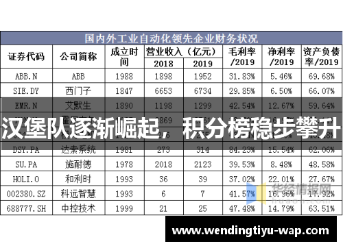 汉堡队逐渐崛起，积分榜稳步攀升