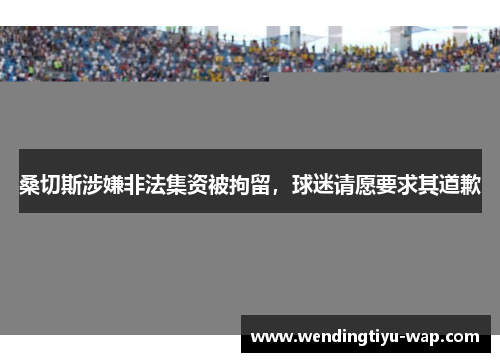 桑切斯涉嫌非法集资被拘留，球迷请愿要求其道歉